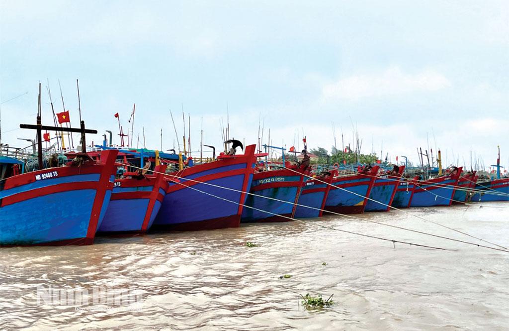 Với sự vào cuộc của lực lượng chức năng các địa phương, toàn bộ tàu thuyền của tỉnh đã vào neo đậu tránh trú bão số 5 nhằm giảm thiểu thiệt hại.
