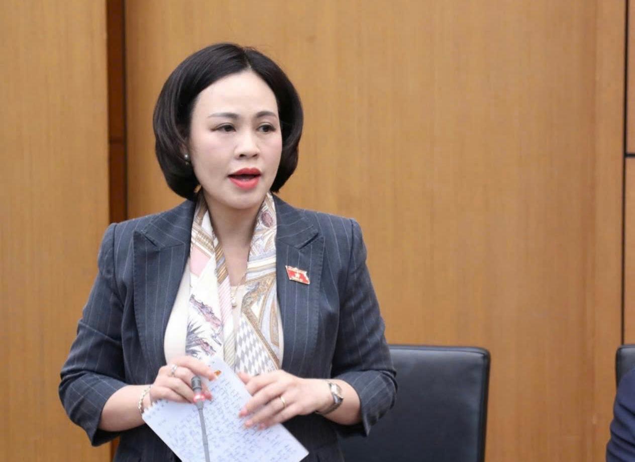 Đồng chí Trần Thị Hồng Thanh, Tỉnh ủy viên, Phó Trưởng Đoàn ĐBQH tỉnh Ninh Bình.