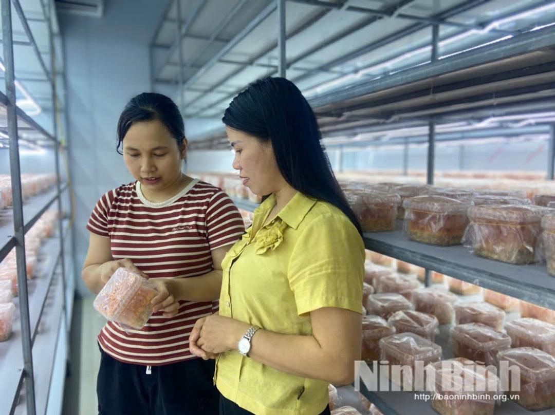 Chị Phạm Thị Hồng Duyên (áo kẻ) giới thiệu với khách hàng về sản phẩm nấm Đông trùng hạ thảo.