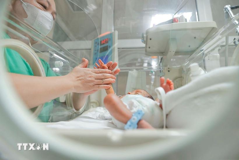 Ảnh minh hoạ. (Ảnh: Minh Quyết/TTXVN)