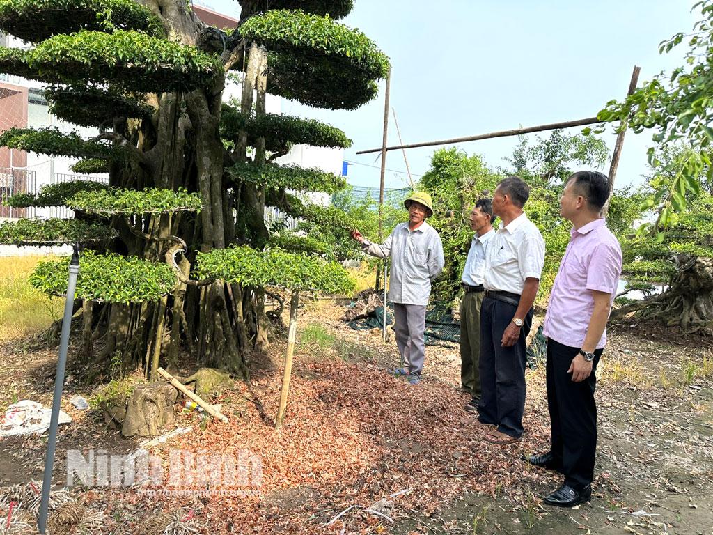 Người dân xã Hải Xuân phát triển mô hình trồng cây cảnh nhờ nguồn vốn của Ngân hàng Chính sách xã hội. Ảnh: Nguyễn Lựu