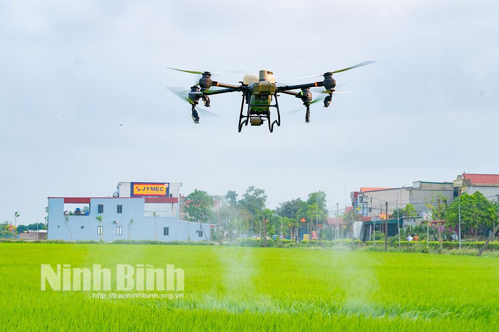 Trình diễn sử dụng máy bay không người lái phun thuốc bảo vệ thực vật tại cánh đồng lúa xóm Cầu, xã Yên Mô.