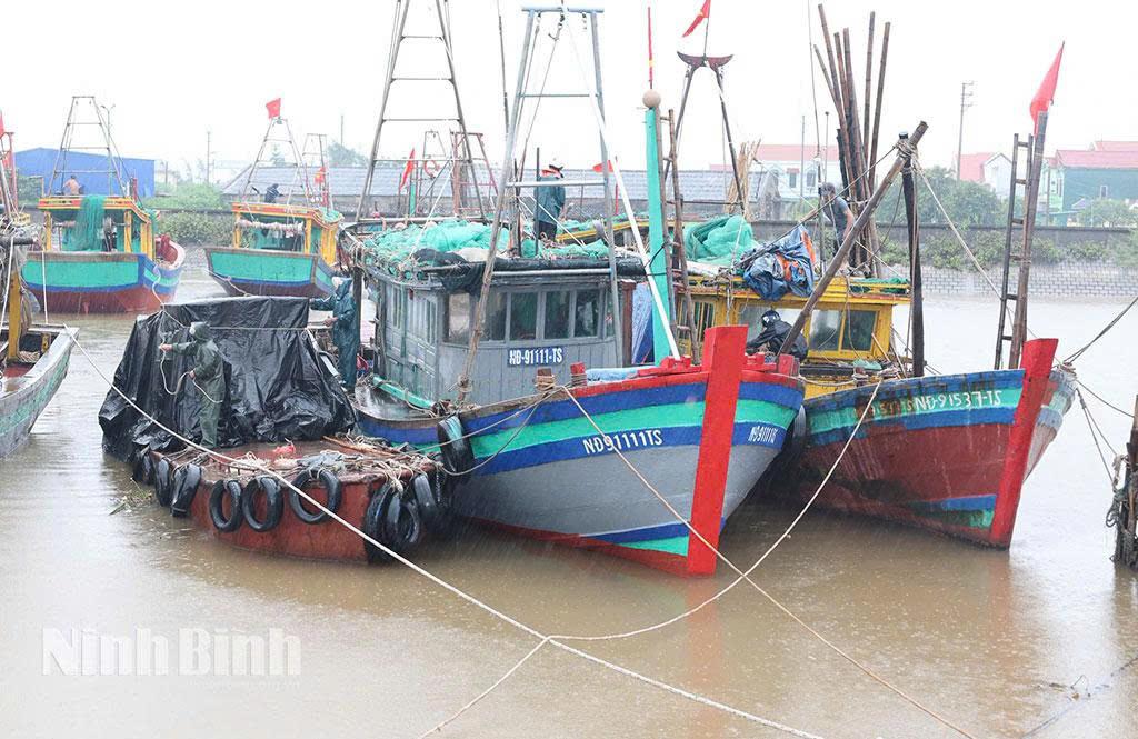 Tàu thuyền neo đậu về nơi tránh trú bão số 3. Ảnh: P.V