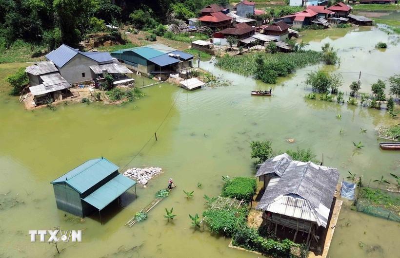 Những trận mưa kéo dài khiến bản Phiêng Nghè, phường Chiềng An (tỉnh Sơn La) bị ngập úng, có nới ngập sâu từ 2-3m. (Ảnh: TTXVN)