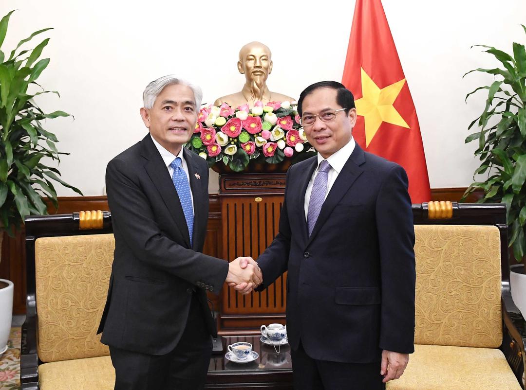 Phó Thủ tướng, Bộ trưởng Bùi Thanh Sơn tiếp Bí thư Thường trực Bộ Ngoại giao Singapore Albert Chua. Ảnh: An Đăng/TTXVN