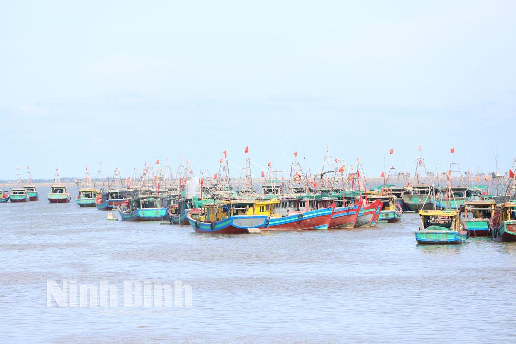 Các tàu cá neo đậu tại khu vực bến cá Giao Hải, xã Giao Phúc được kiểm soát chặt chẽ trong cao điểm chống khai thác hải sản bất hợp pháp (IUU).