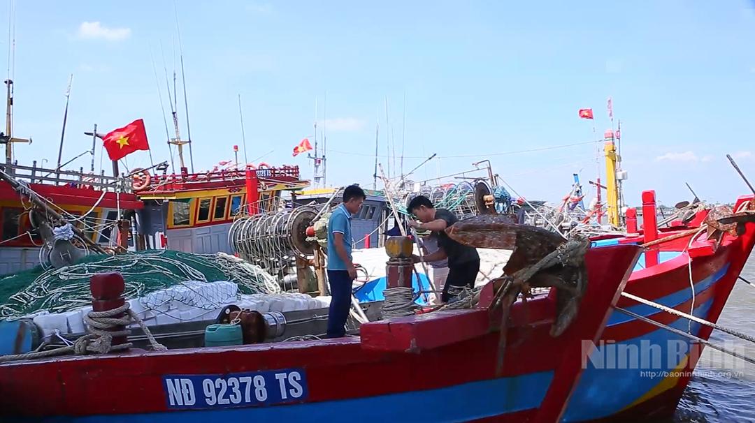 Ngư dân đưa tàu thuyền khai thác thủy sản vào neo đậu tránh, trú bão số 10 tại Cảng cá Ninh Cơ.