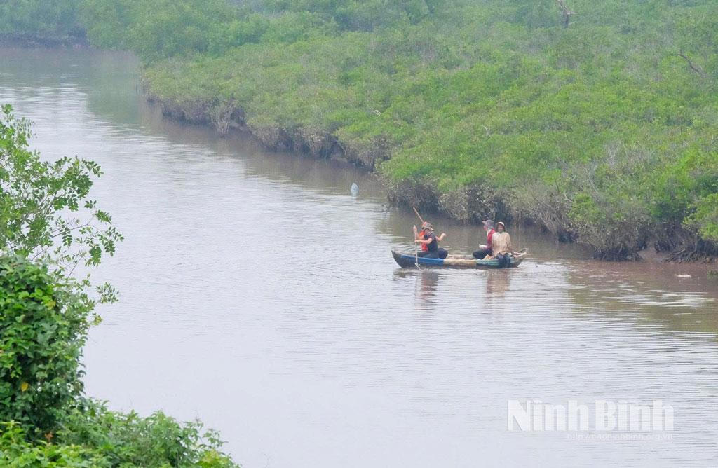 Người dân các xã vùng đệm Vườn quốc gia Xuân Thủy chèo thuyền mủng để bắt cáy mật.