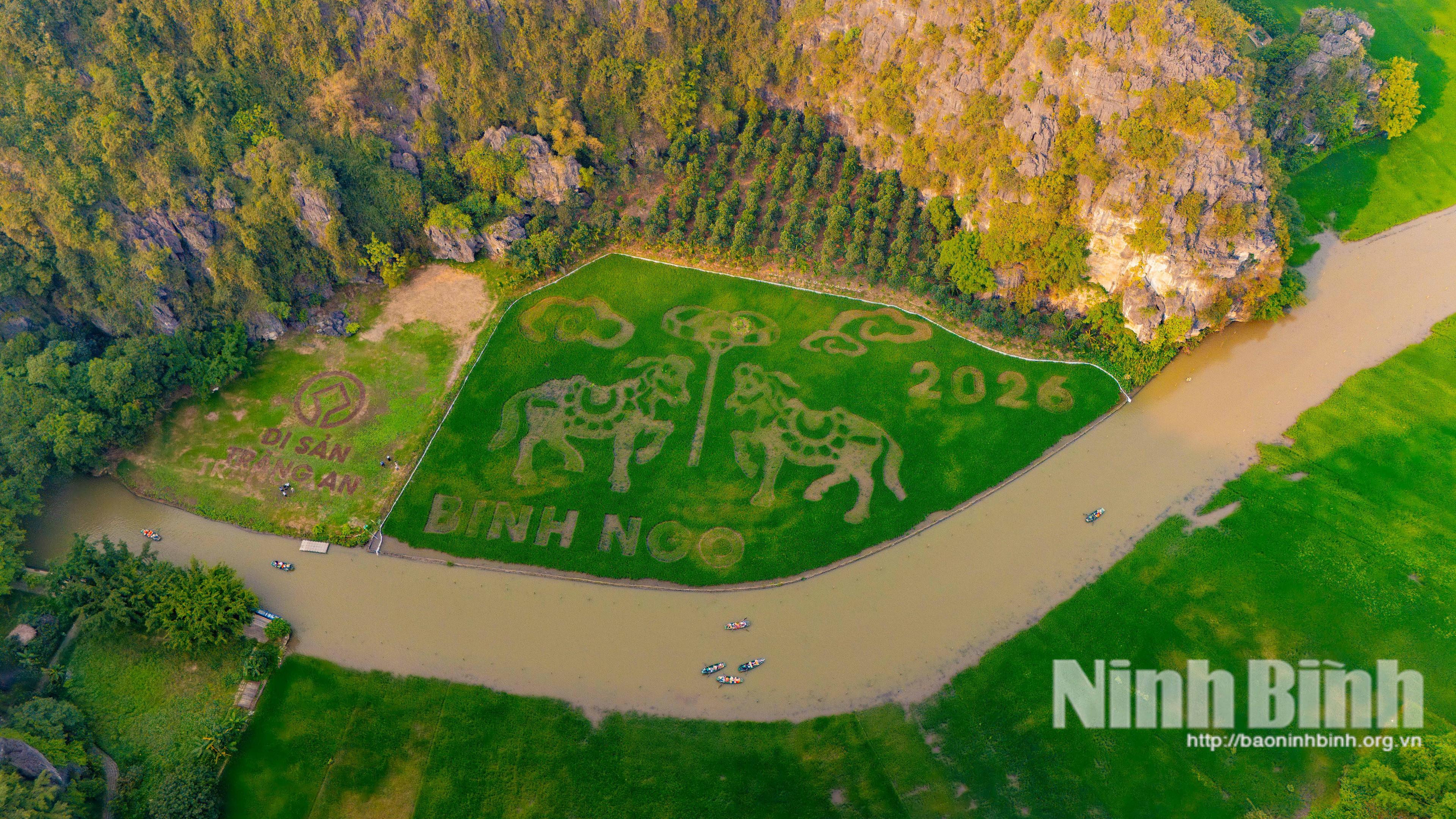 Cánh đồng lúa nghệ thuật khắc họa biểu tượng du lịch Ninh Bình tại Tam Cốc.