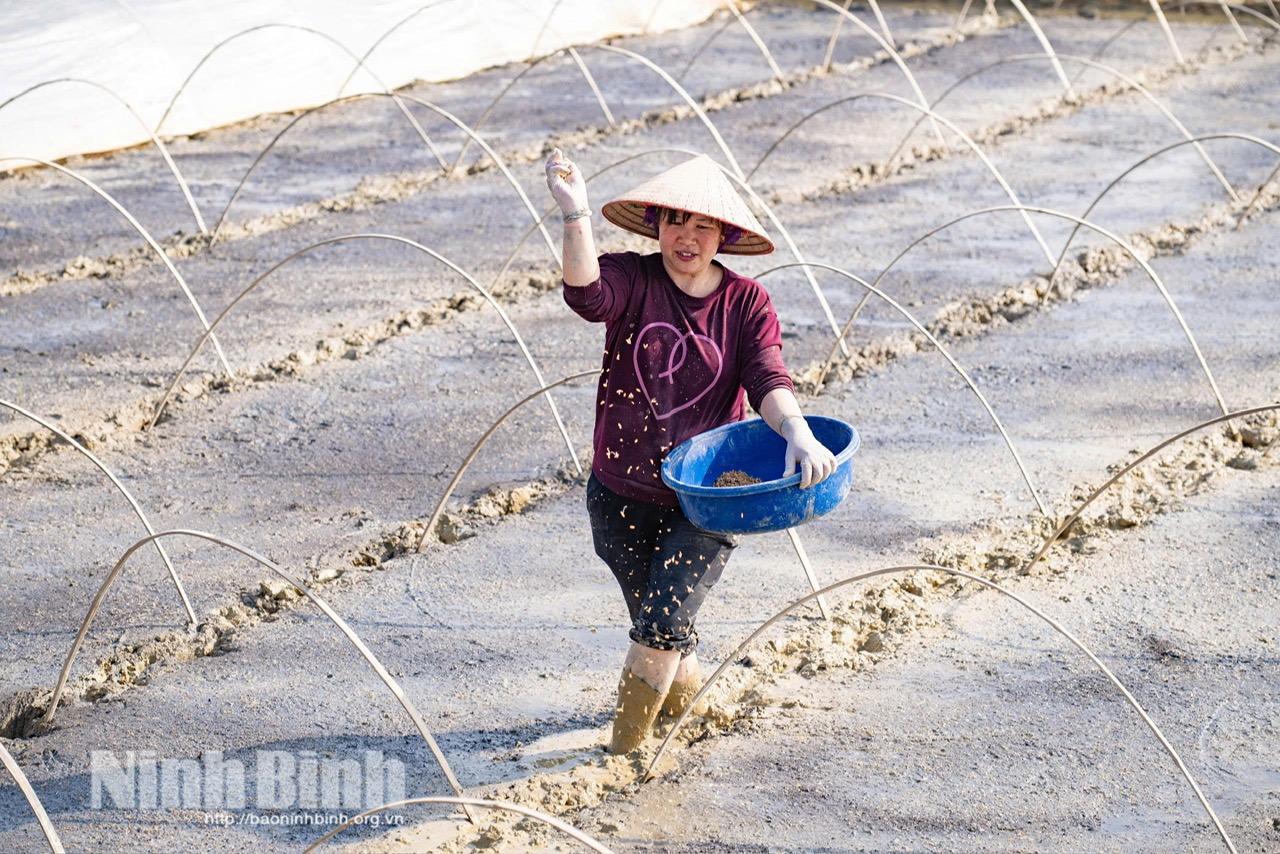 Nông dân xã Gia Tường tập trung gieo mạ, tuân thủ đúng lịch thời vụ của ngành chuyên môn, tạo tiền đề cho một vụ Đông Xuân thắng lợi. Ảnh: Ngọc Linh