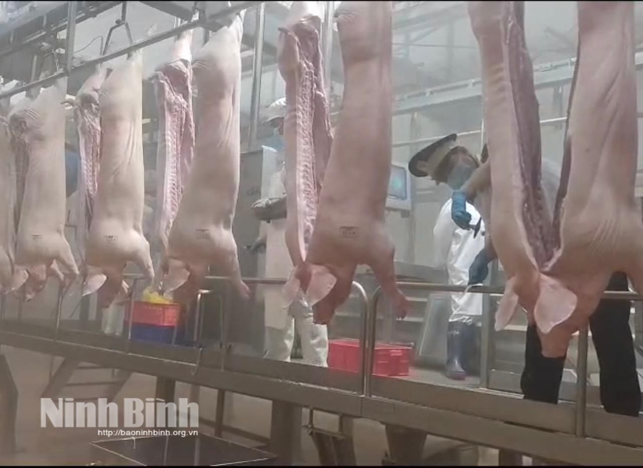 Dây chuyền giết mổ lợn khép kín, hiện đại theo tiêu chuẩn 3F tại Công ty TNHH Meat Deli HN (phường Lê Hồ).