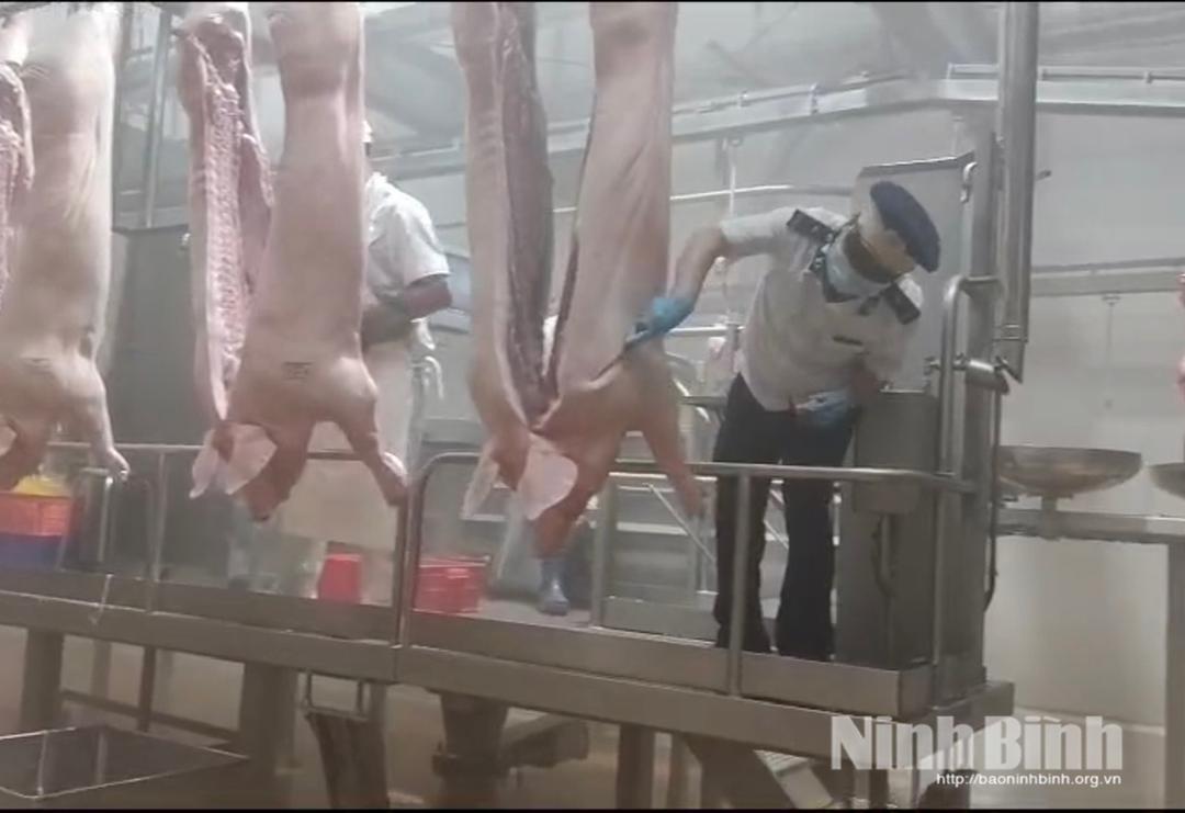 Kiểm dịch viên kiểm tra, đóng dấu kiểm soát giết mổ tại Công ty TNHH Meat Deli HN.