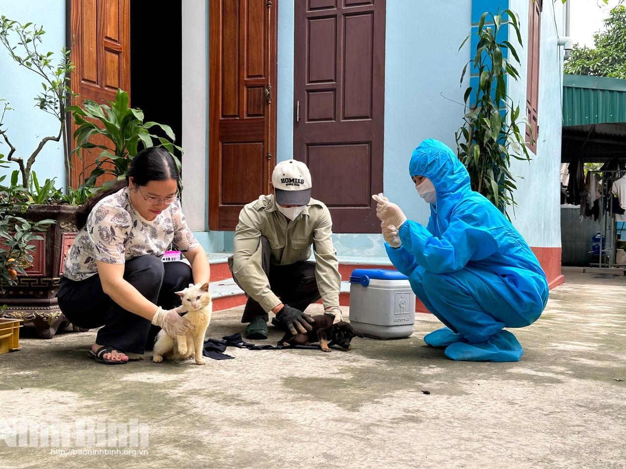 Lực lượng thú y cơ sở thực hiện tiêm phòng vắc-xin dại cho đàn chó, mèo tại xã Tân Minh.