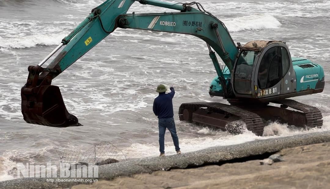 Đơn vị thi công đang khẩn trương gia cố các vị trí hư hỏng, sụt lún trên tuyến đê Hải Thịnh 3.