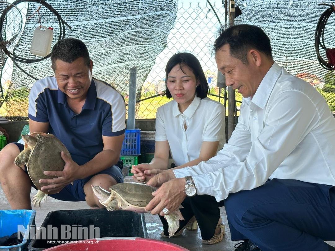 Anh Mai Quốc Huy (bên trái) giới thiệu các loại ba ba đang được nuôi tại trang trại.