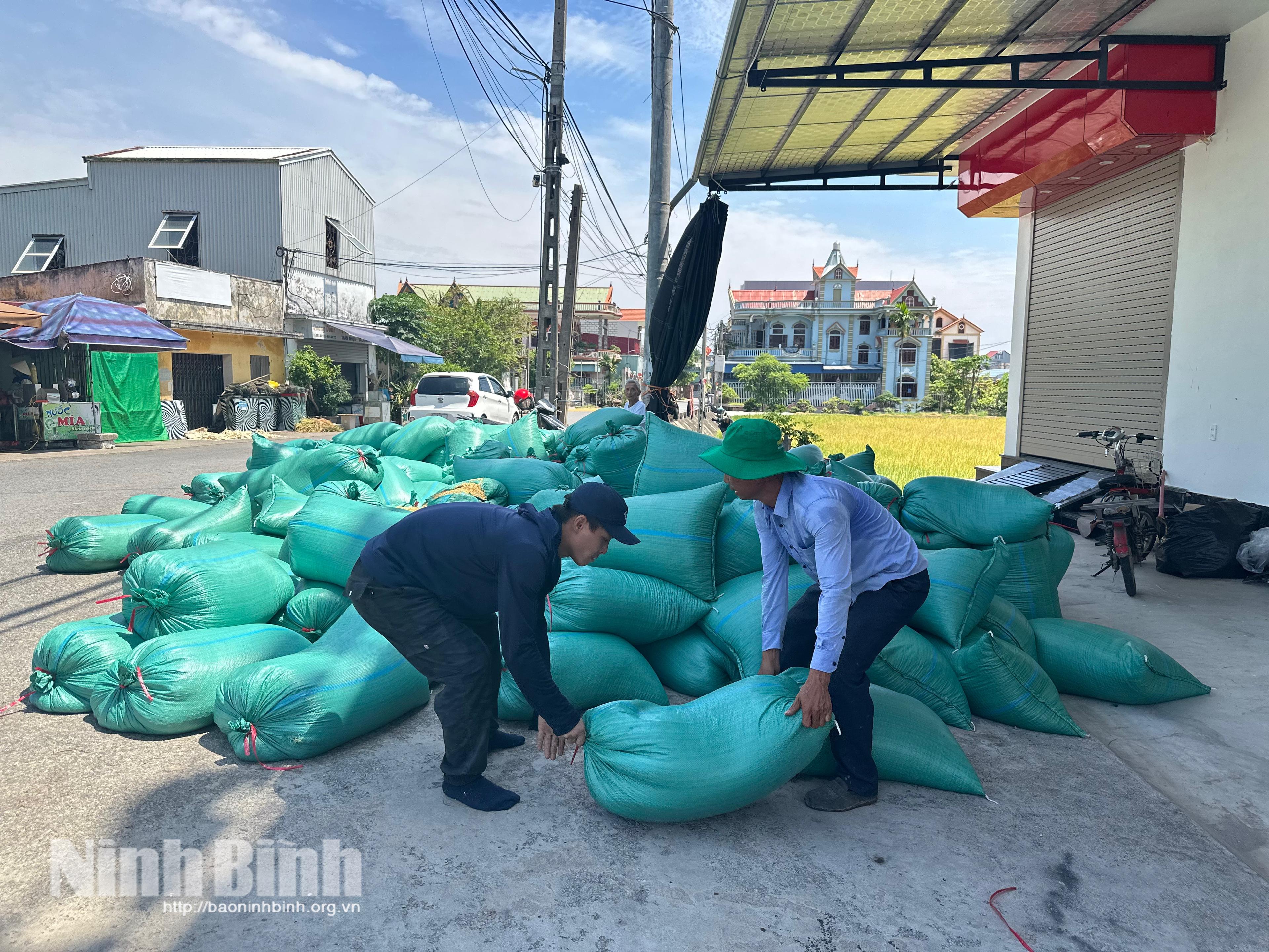 Ký kết hợp đồng với doanh nghiệp, vụ lúa này anh Đinh Văn Tâm (thôn 15, xã Xuân Trường) không phải lo về khâu tiêu thụ thóc.