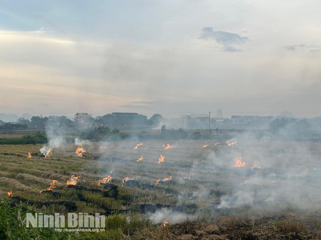 Hoạt động đốt rơm rạ sau vụ gặt tại nhiều địa phương vừa gây lãng phí tài nguyên, vừa tạo ra lượng khói bụi lớn làm ô nhiễm môi trường và cản trở giao thông.