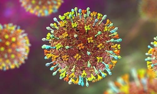 Nipah là một loại virus RNA thuộc họ Paramyxoviridae, gây bệnh truyền nhiễm từ động vật sang người, chủ yếu lây từ lợn và dơi bị nhiễm bệnh, có thể lây qua tiếp xúc gần giữa người với người.