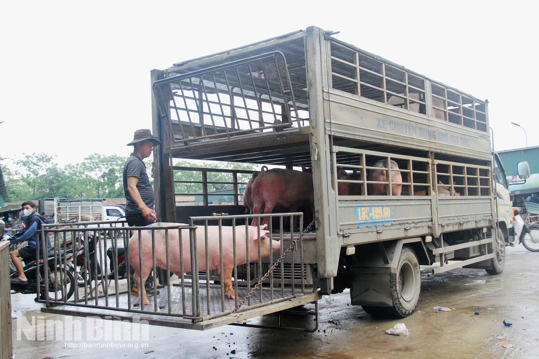 Hoạt động kiểm soát giết mổ, vận chuyển gia súc, gia cầm trên địa bàn tỉnh gặp nhiều khó khăn.