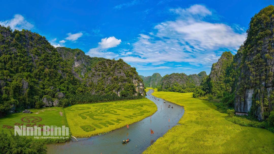 Cánh đồng nghệ thuật với chủ đề "Song mã chầu báo công" đã chuyển màu vàng rực sẵn sàng chào đón du khách.