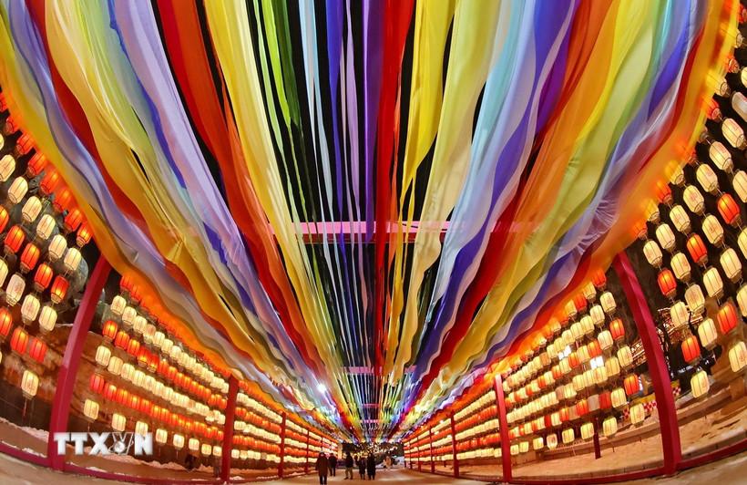 Đèn lồng được thắp sáng rực rỡ dịp Tết Nguyên đán tại tỉnh Hà Bắc, Trung Quốc. (Ảnh: THX/TTXVN)