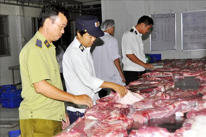 Lực lượng chức năng Hà Nội kiểm tra thịt lợn lưu thông ngoài thị trường. Ảnh tư liệu (minh họa): TTXVN