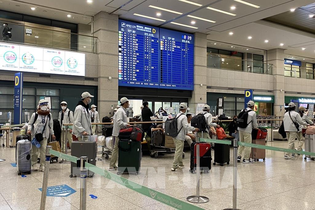 Lao động Việt Nam nhập cảnh tại sân bay Incheon (Hàn Quốc). Ảnh: TTXVN