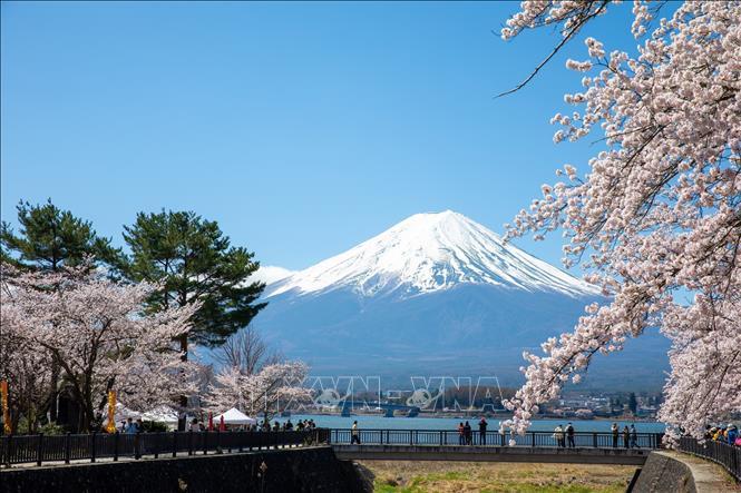 Núi Phú Sĩ hùng vĩ nhìn từ mương nước dẫn ra hồ Kawaguchi.