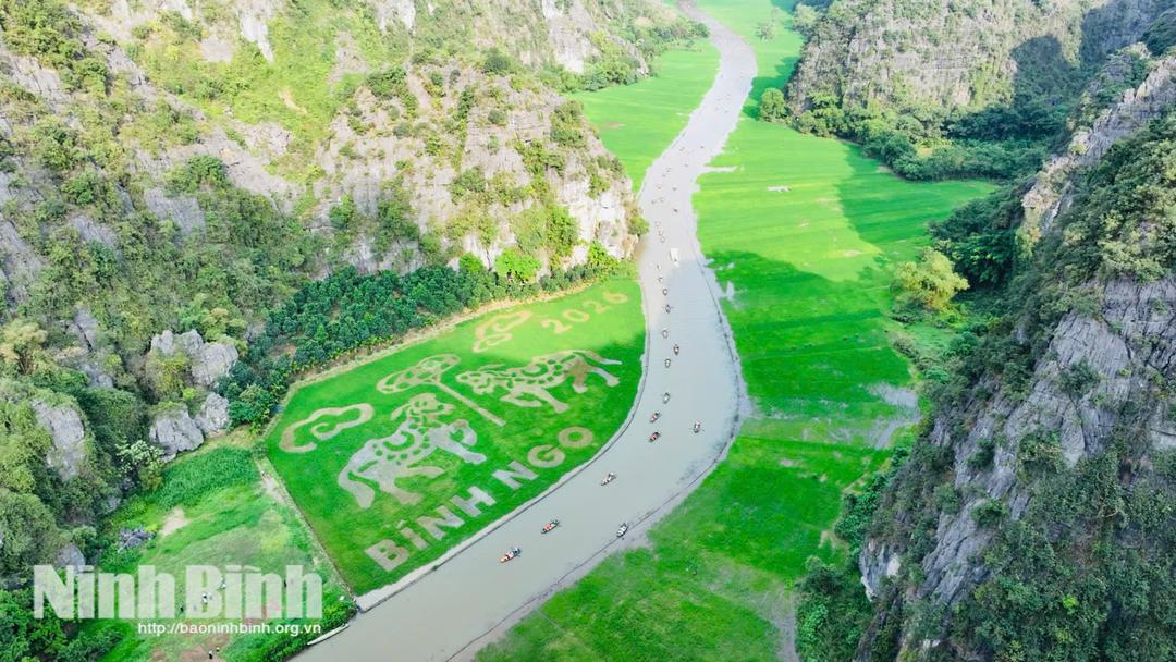 Cánh đồng Tam Cốc - điểm nhấn trong Tuần Du lịch Ninh Bình năm 2026.