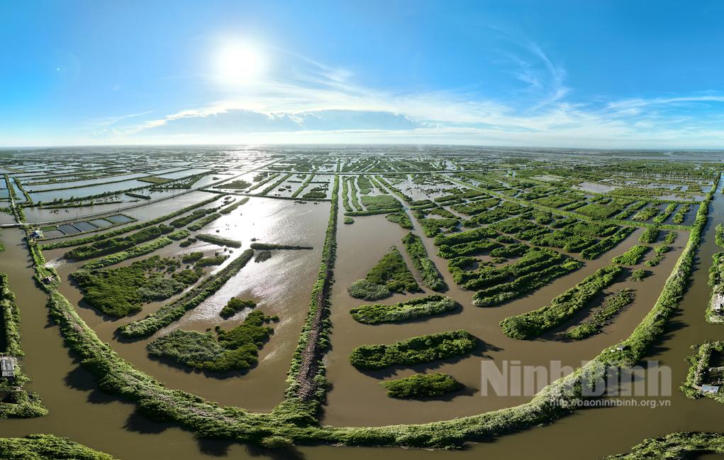 Một góc Vườn Quốc gia Xuân Thủy (Ninh Bình). Ảnh: Viết Dư