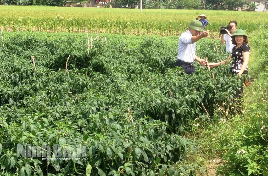 Liên minh HTX tỉnh: Khẳng định vai trò của cơ quan phụ trách xã đặc thù