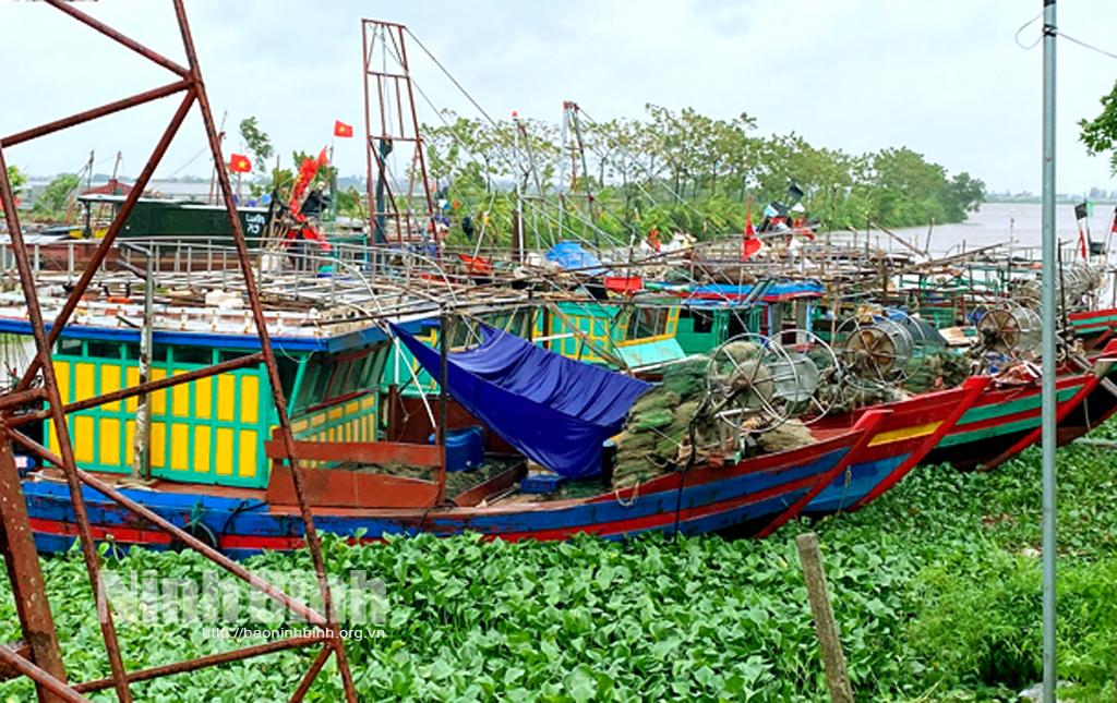 Chủ động phòng, chống bão, lụt đảm bảo an toàn sản xuất