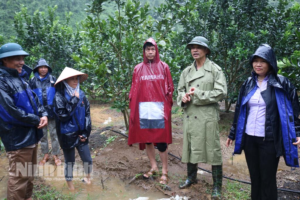 Đánh giá kết quả vận hành lò đốt rác CNC330 và nghiệm thu mô hình trồng bưởi ứng dụng công nghệ cao