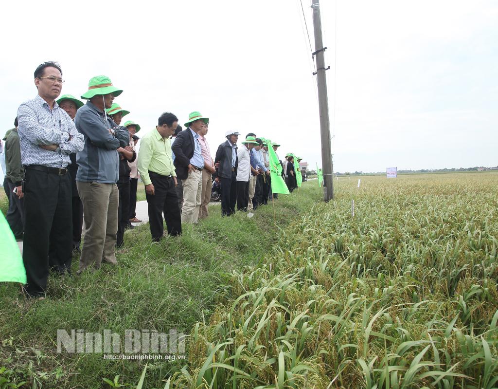 Để nông nghiệp phát triển theo hướng tập trung, hữu cơ, chất lượng cao