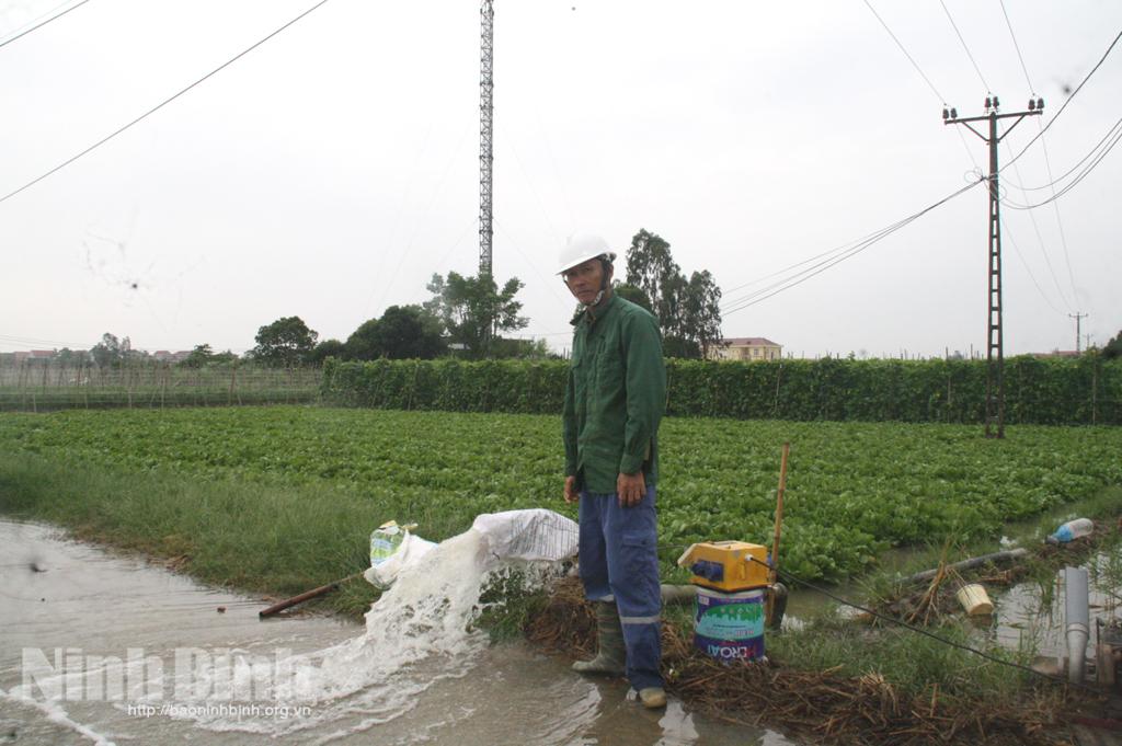 Khẩn trương khắc phục ảnh hưởng của mưa úng trên cây trồng vụ đông