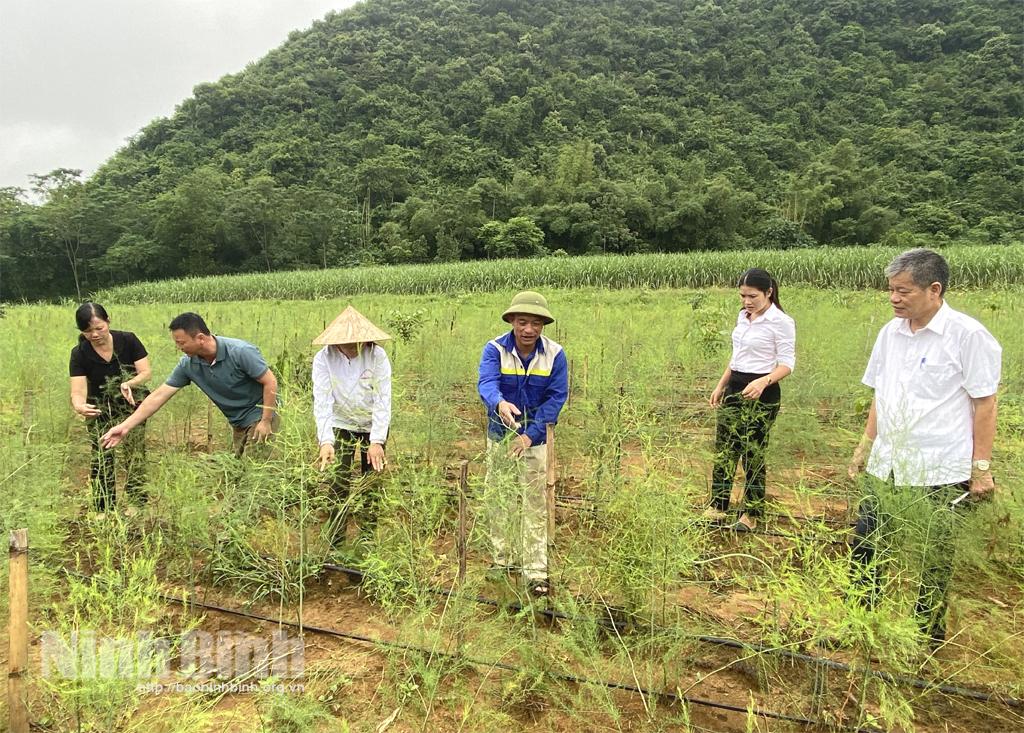 Nho Quan đẩy mạnh phong trào thi đua "Nông dân sản xuất, kinh doanh giỏi"
