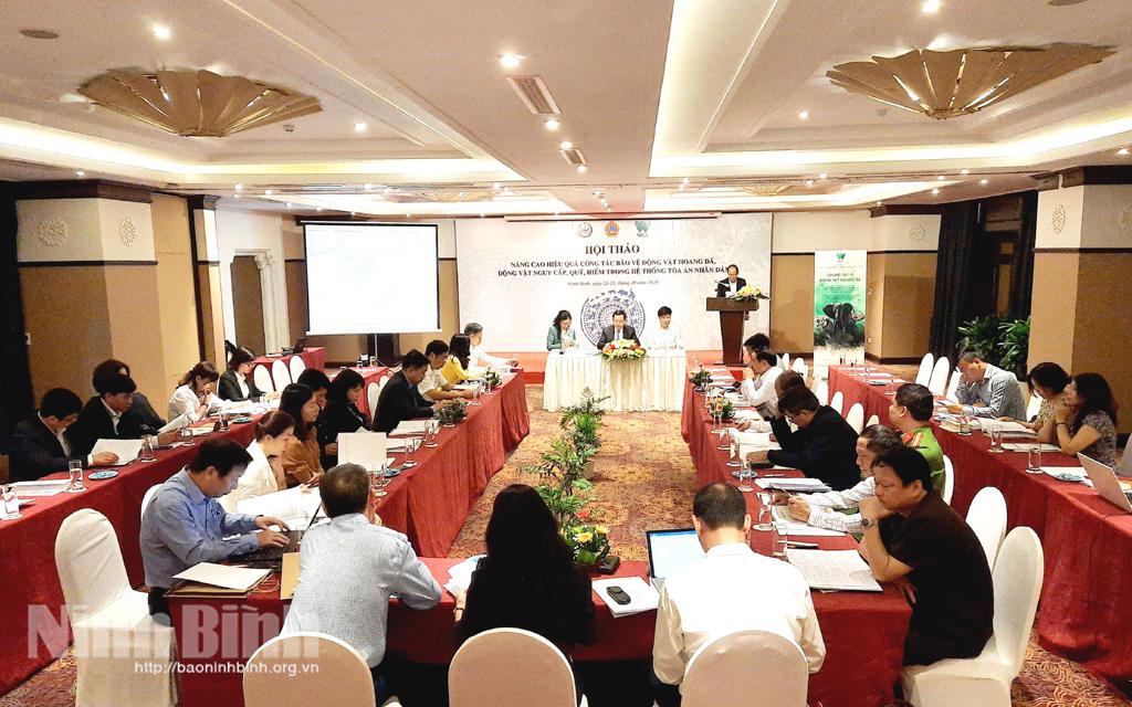 Hội thảo "Nâng cao hiệu quả công tác bảo vệ động vật hoang dã, động vật nguy cấp, quý hiếm trong hệ thống Tòa án nhân dân"