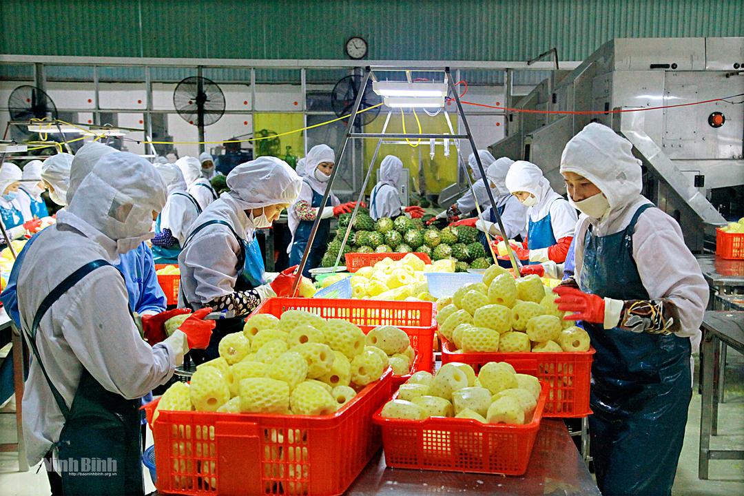 Quyết tâm đưa Nghị quyết Đại hội Đảng bộ tỉnh lần thứ XXII vào cuộc sống