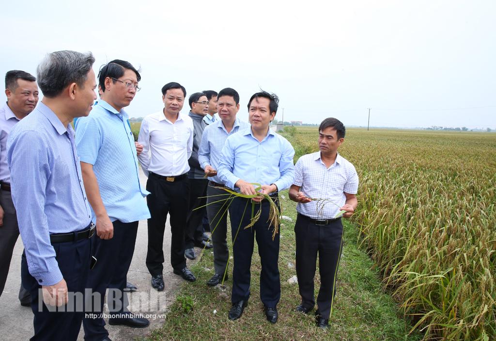 Các đồng chí lãnh đạo UBND tỉnh kiểm tra tình hình sản xuất và giải ngân vốn đầu tư công tại một số địa phương