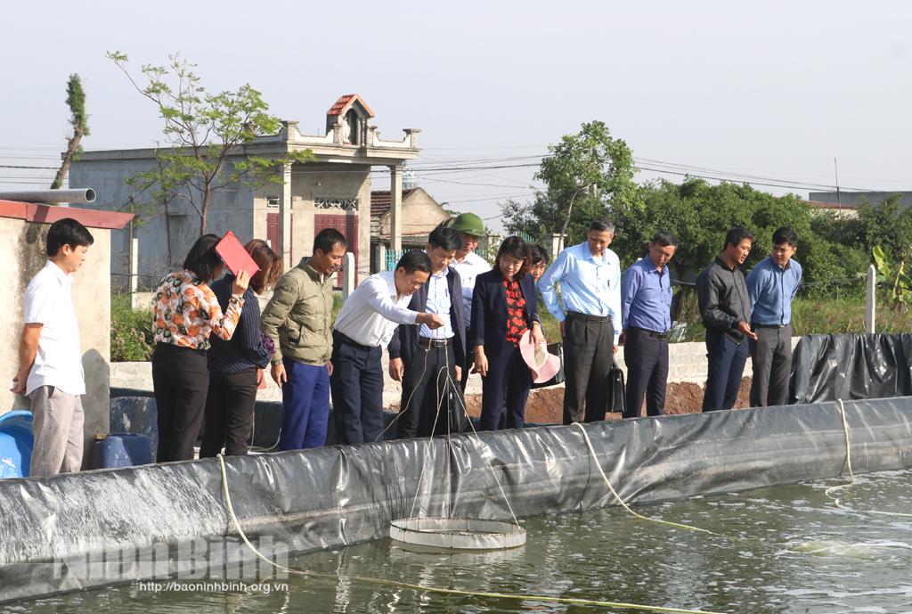 Hội Nông dân tỉnh nghiệm thu dự án công nghệ cao
