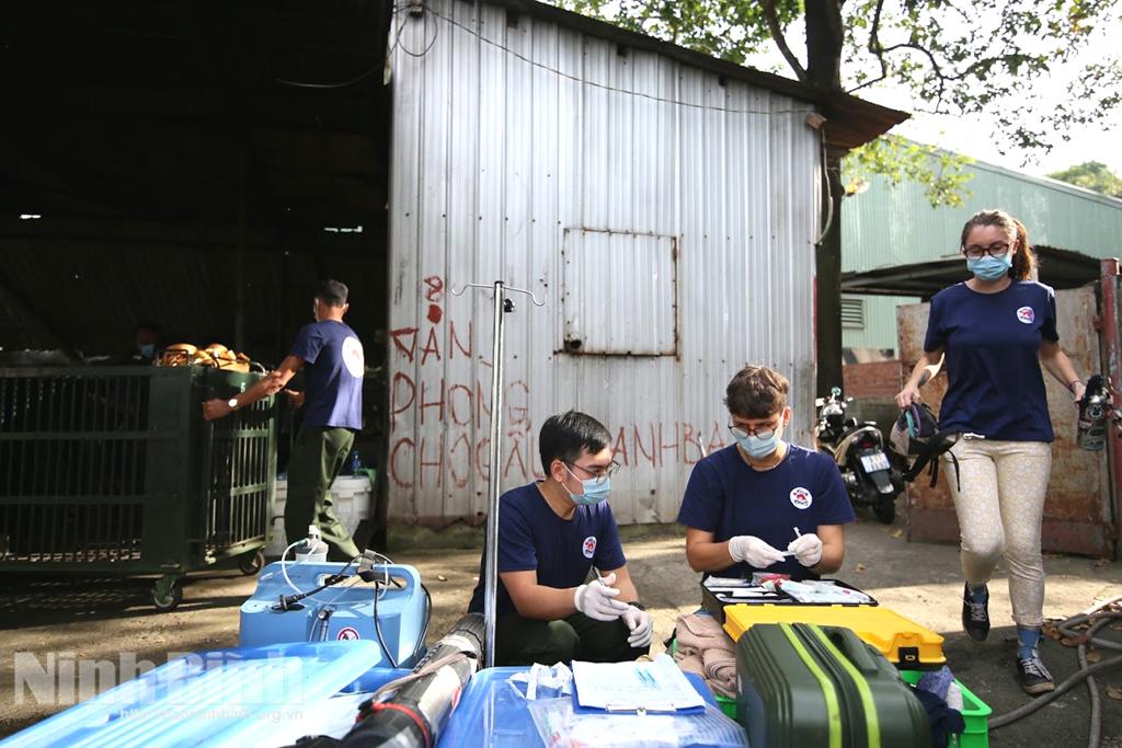 Cứu hộ 7 cá thể gấu từ Bình Dương về Ninh Bình
