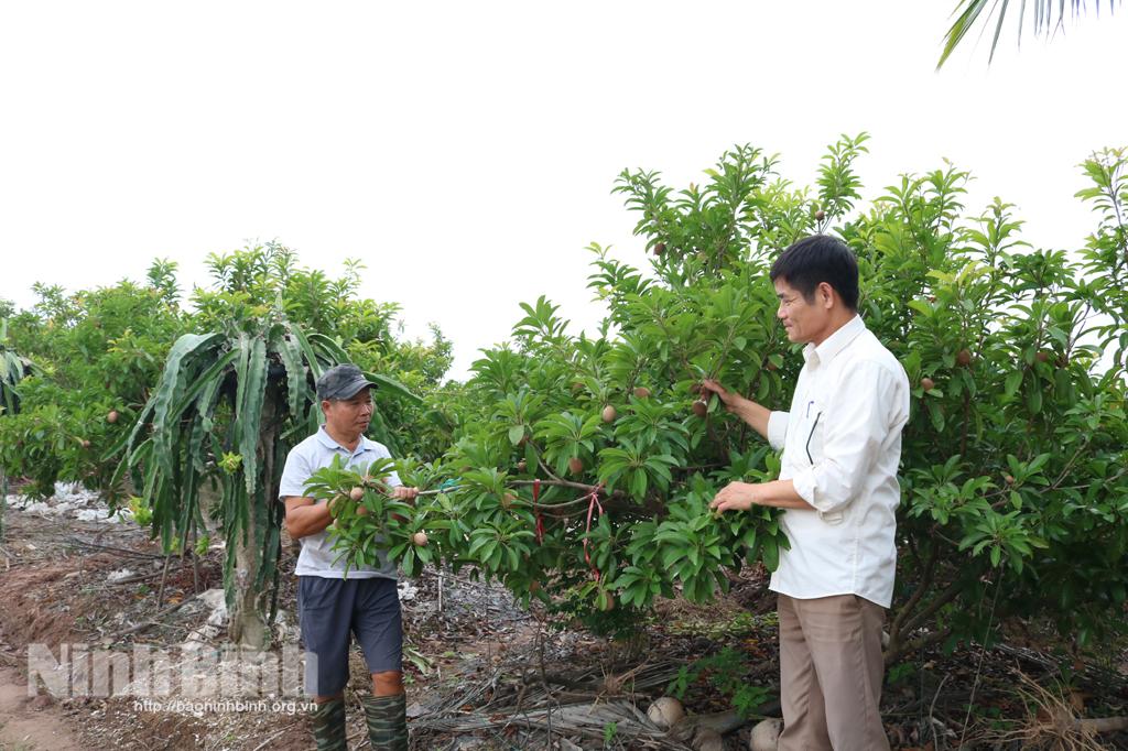 Đảng bộ Kim Đông: Tập trung lãnh đạo phát triển kinh tế
