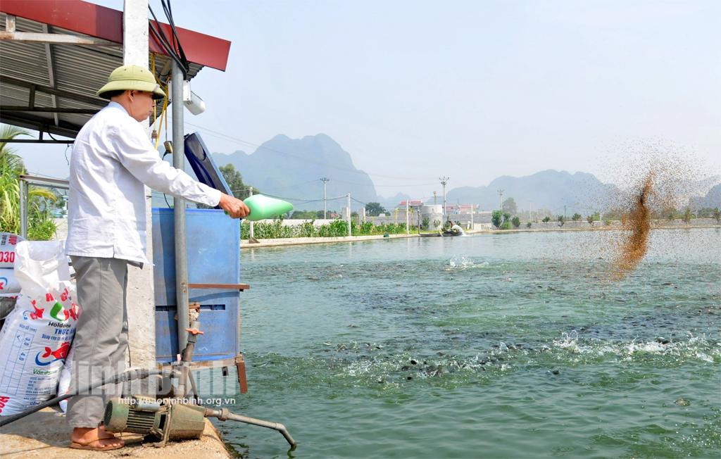 Gia Viễn thực hiện đồng bộ các biện pháp tái cơ cấu nông nghiệp