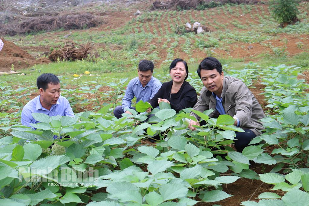 Hội Nông dân tỉnh khảo sát mô hình kinh tế tại huyện Nho Quan