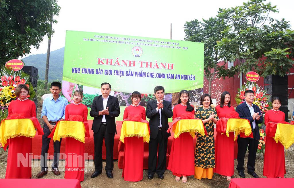 Khánh thành khu trưng bày, giới thiệu sản phẩm chè xanh Tâm An Nguyên và bưởi da xanh Tam Điệp