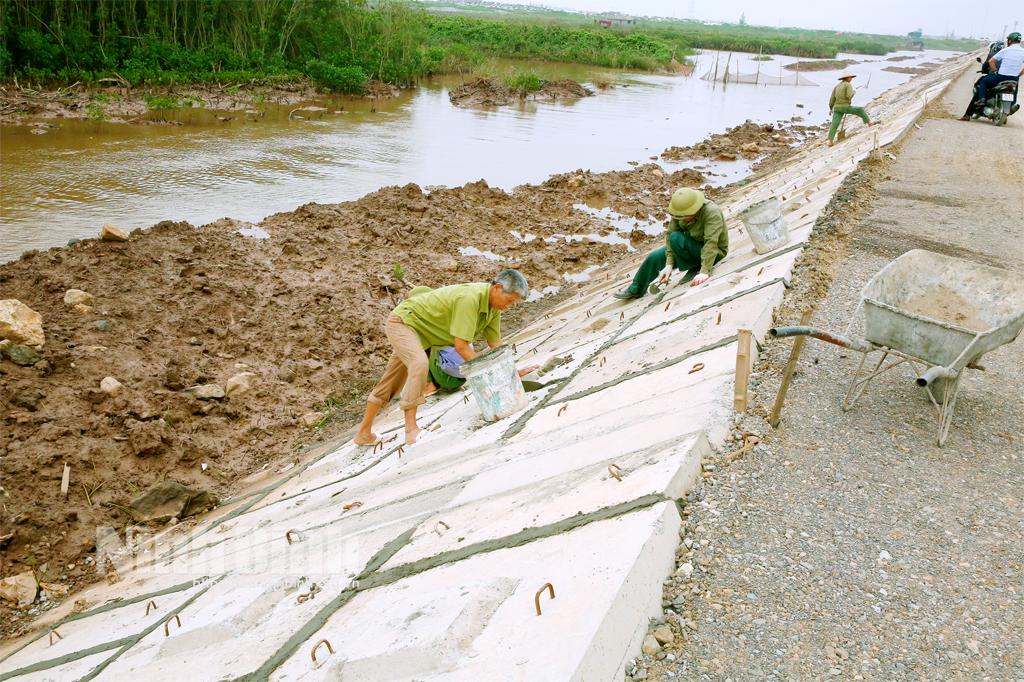 Đảm bảo tiến độ dự án xây dựng tuyến đê biển Bình Minh 4