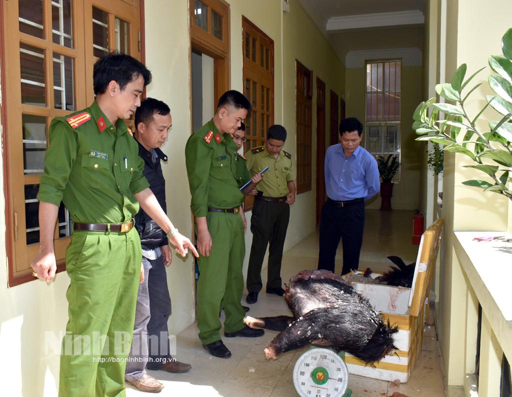 Phát hiện, bắt giữ vụ vận chuyển động vật rừng nguy cấp, quý hiếm