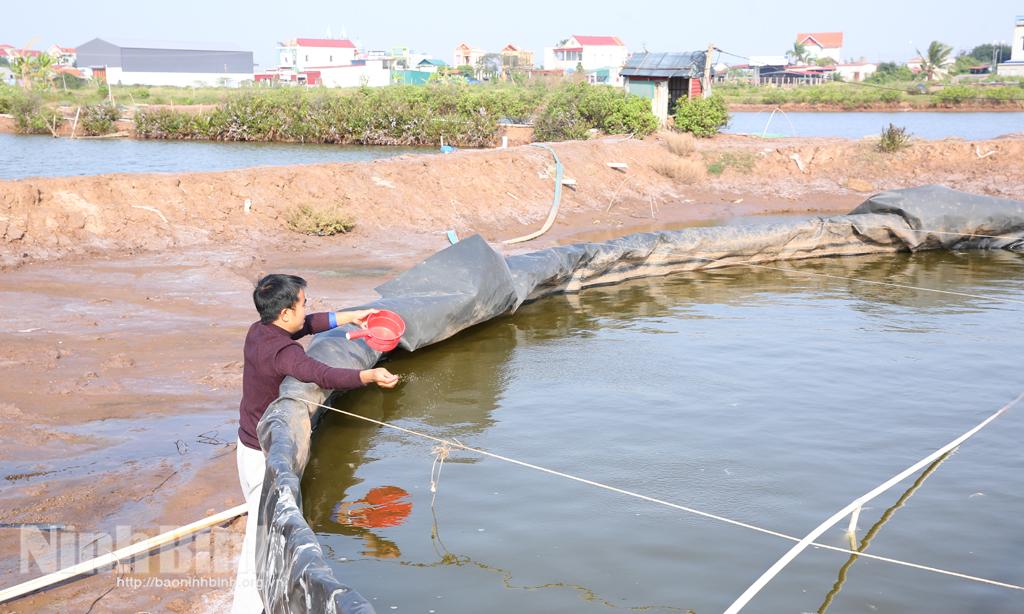 Nuôi tôm trong ao tròn nổi - Cách làm mới, hiệu quả cao