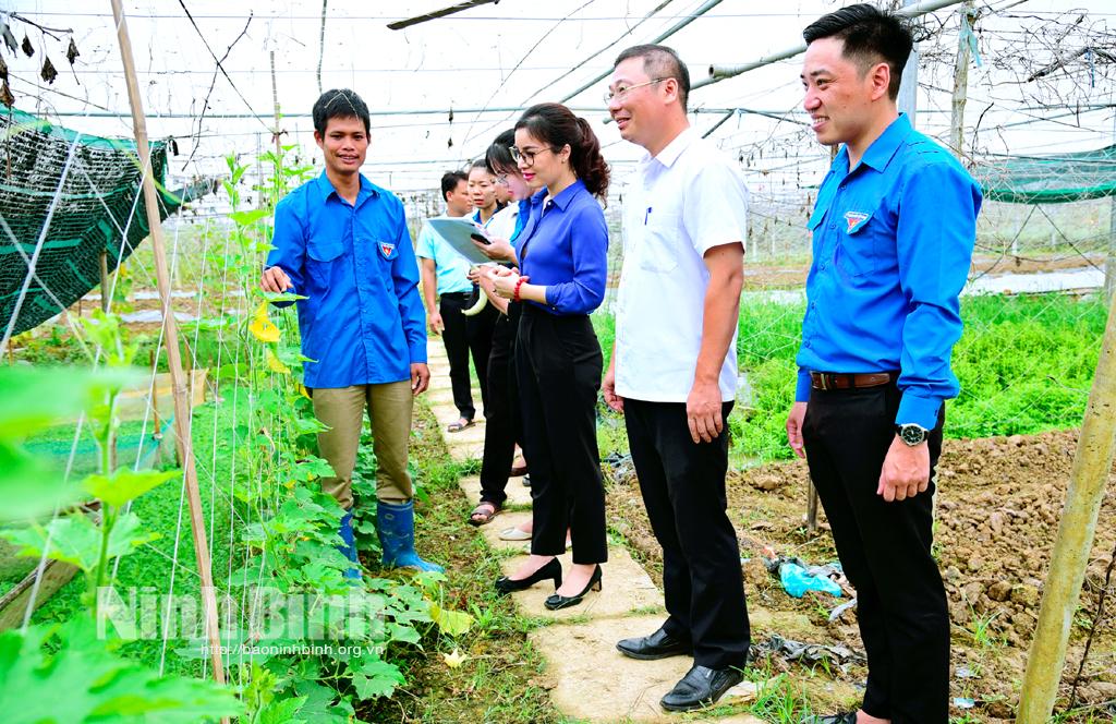 Nhìn lại 2 năm thực hiện chương trình hỗ trợ khởi nghiệp cho thanh niên