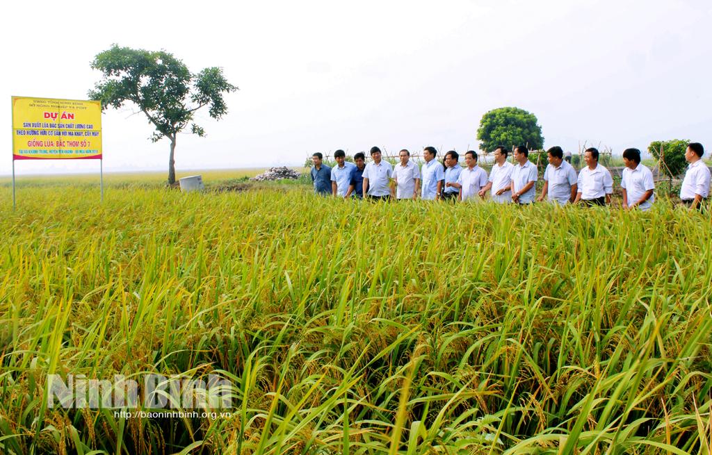 Khuyến nông Ninh Bình đồng hành cùng nông dân